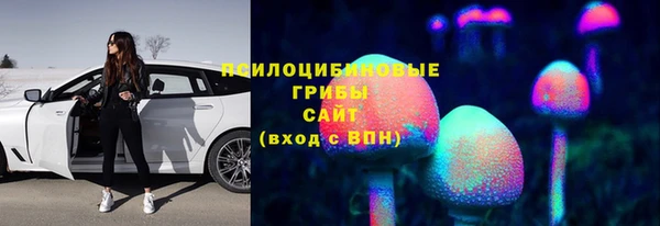 скорость Белокуриха