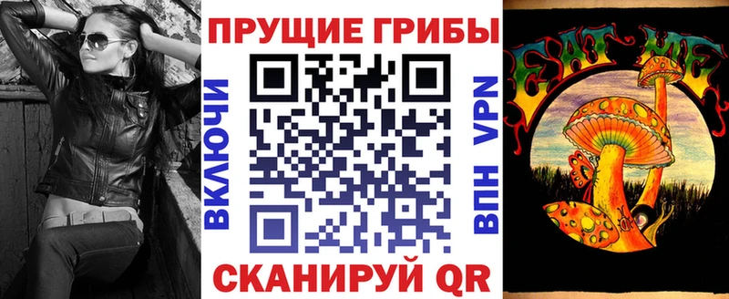 Галлюциногенные грибы Psilocybe  нарко площадка клад  Кстово 